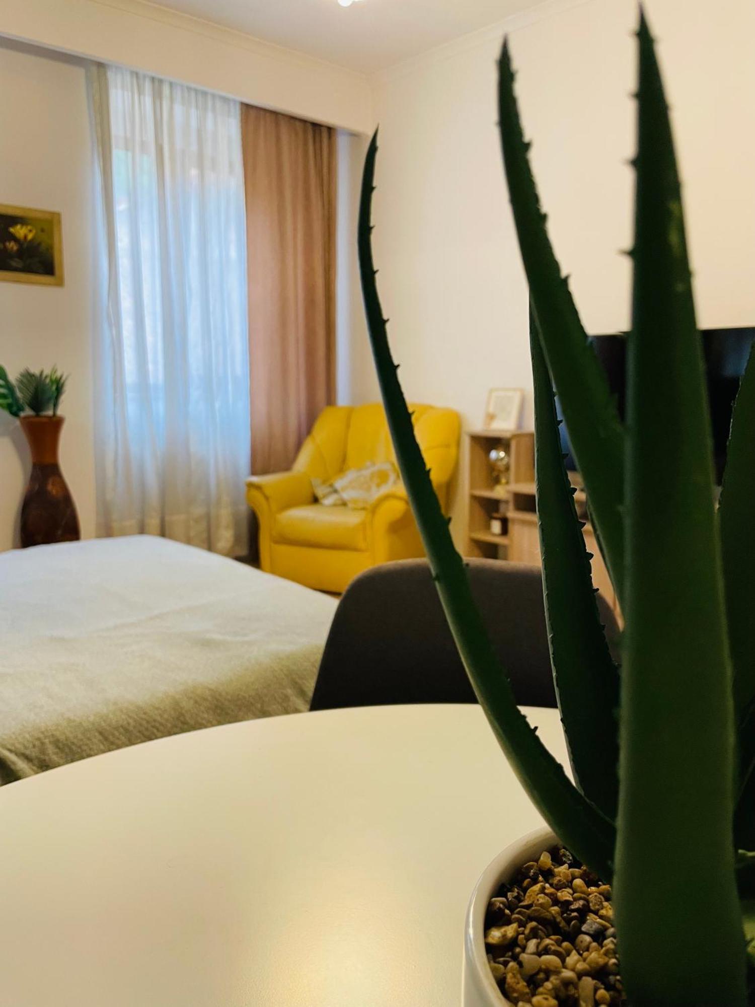 Postavarului Residence Брашов Екстериор снимка